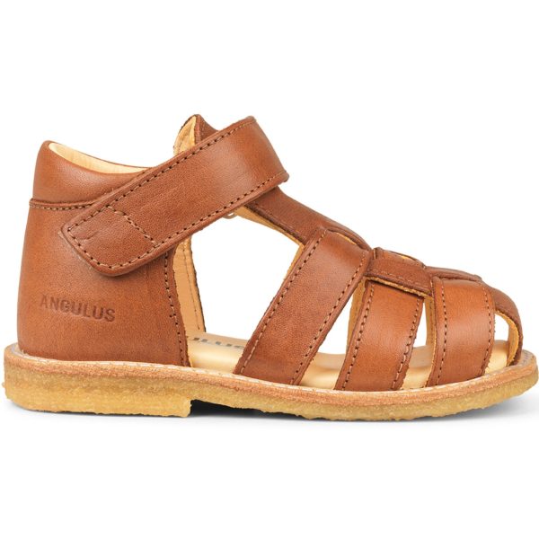 Angulus Sandal w. Closed Toe and Velcro Cognac 5019-101-1838 Online Sale