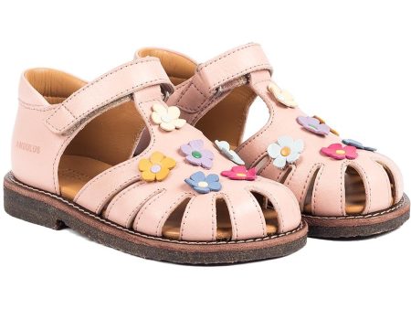 Angulus Sandals Rose Online now