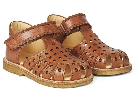 Angulus Starter Sandal W. Velcro Cognac Fashion