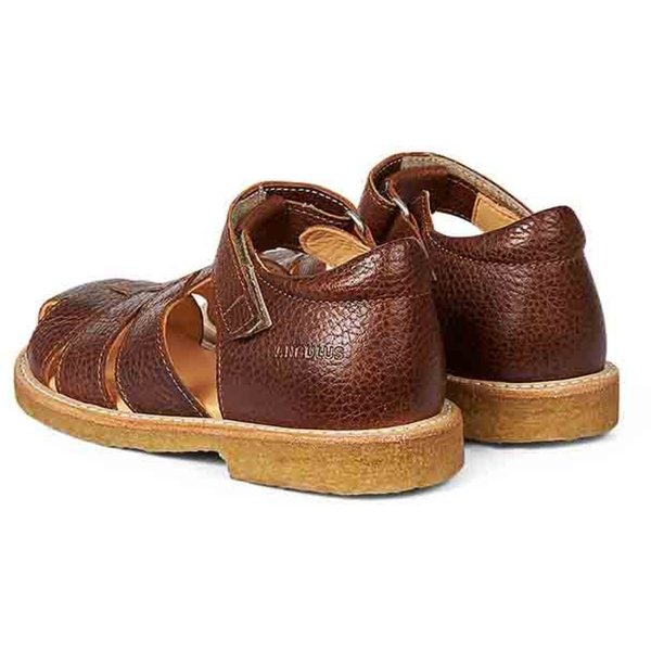 Angulus Sandal W. Velcro Medium Brown Supply