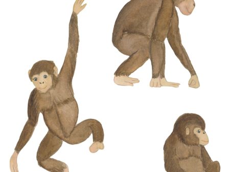 That s Mine Wallstickers Monkeys Multi Online Hot Sale